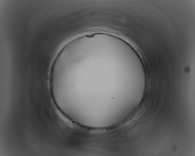 X0000100751535200807171359