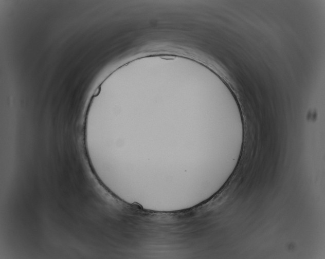 X0000100751536200807171359