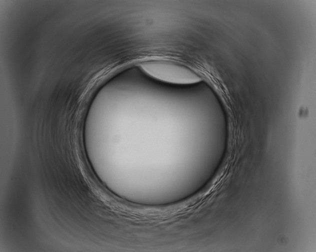 X0000100760001200806190920