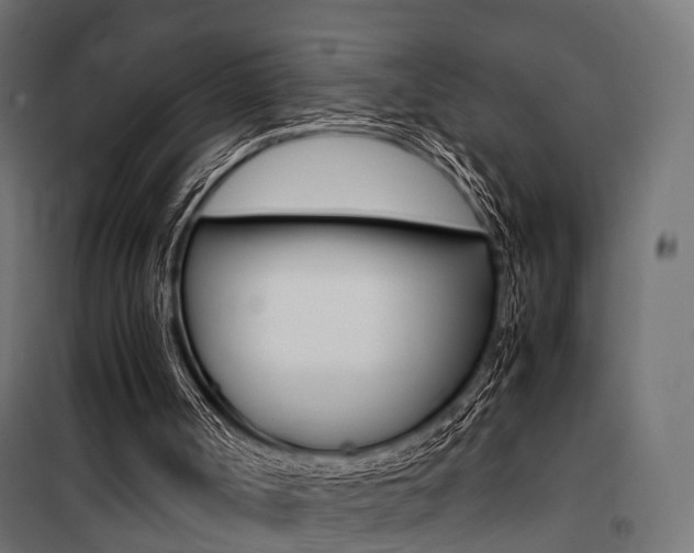 X0000100760002200806190920