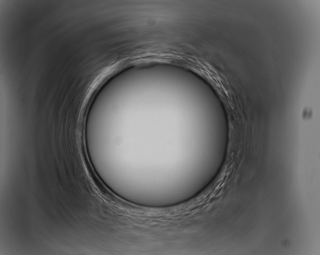 X0000100760003200806190920