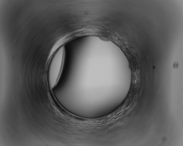 X0000100760004200806190920