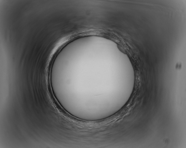 X0000100760006200806190920