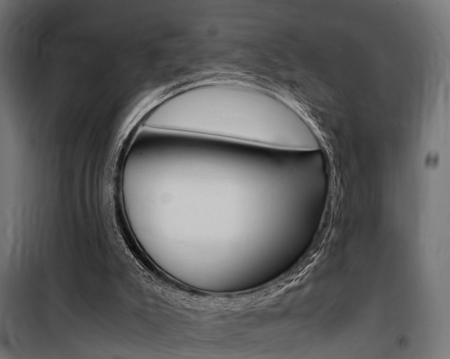 X0000100760007200806190920