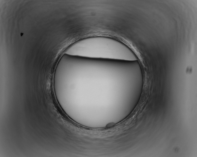 X0000100760010200806190920