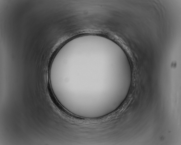 X0000100760011200806190920