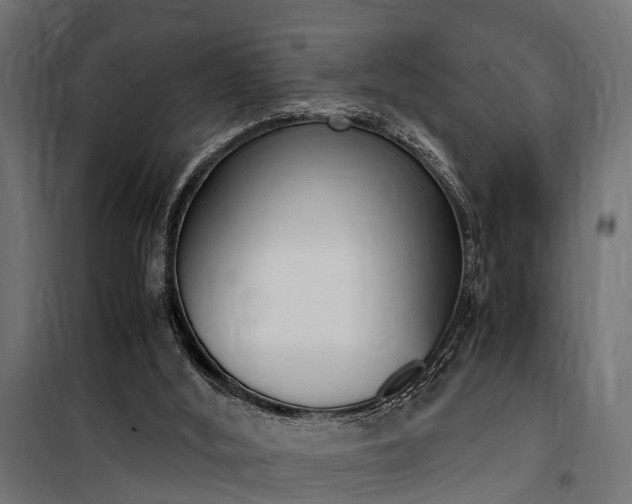 X0000100760012200806190920