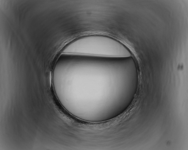 X0000100760013200806190920