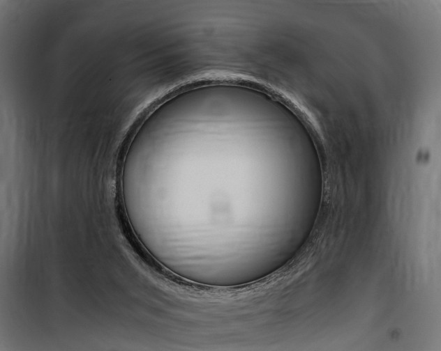 X0000100760015200806190920