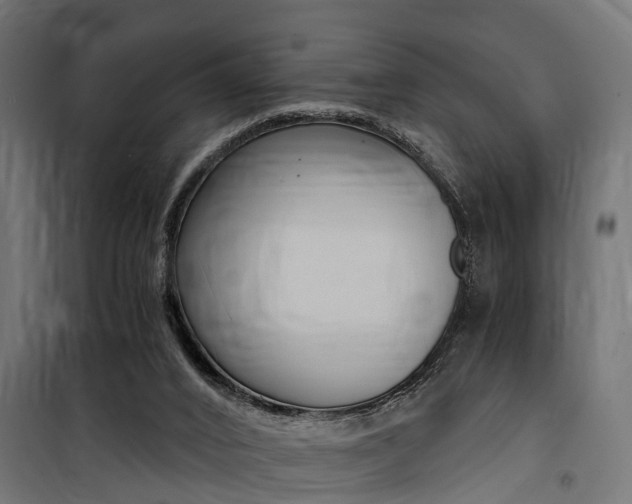 X0000100760016200806190920