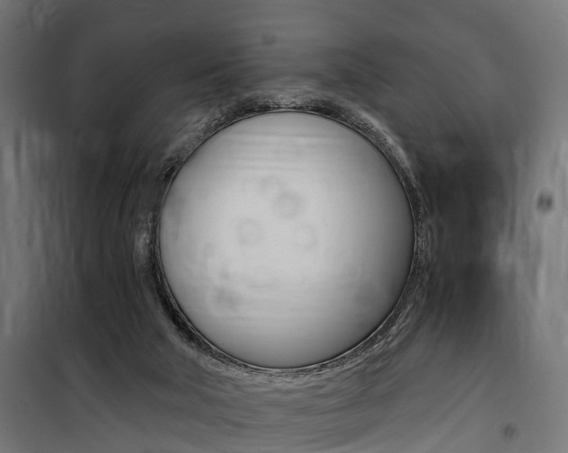 X0000100760018200806190920