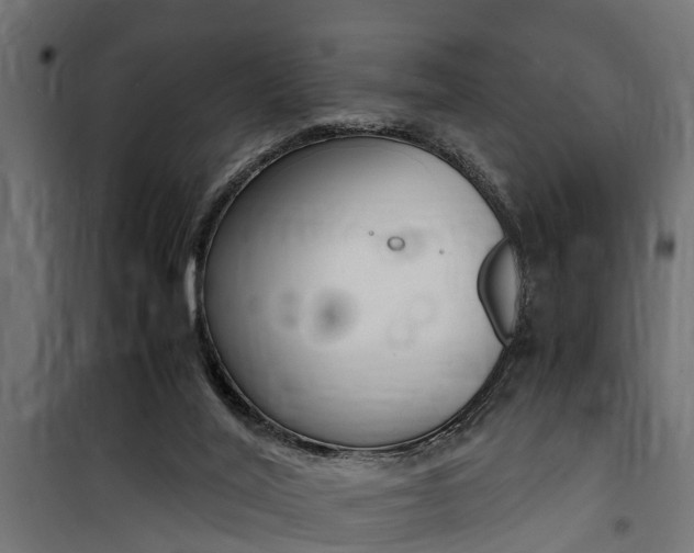 X0000100760020200806190920