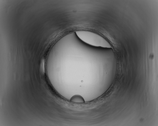 X0000100760022200806190920