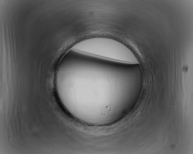 X0000100760023200806190920