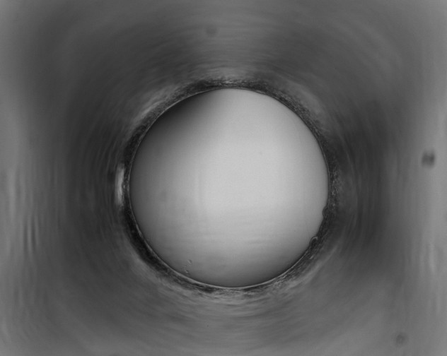 X0000100760024200806190920