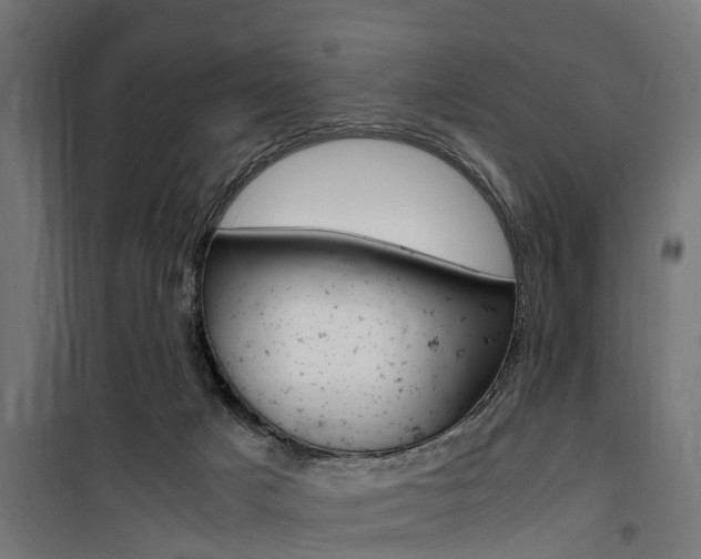 X0000100760025200806190920