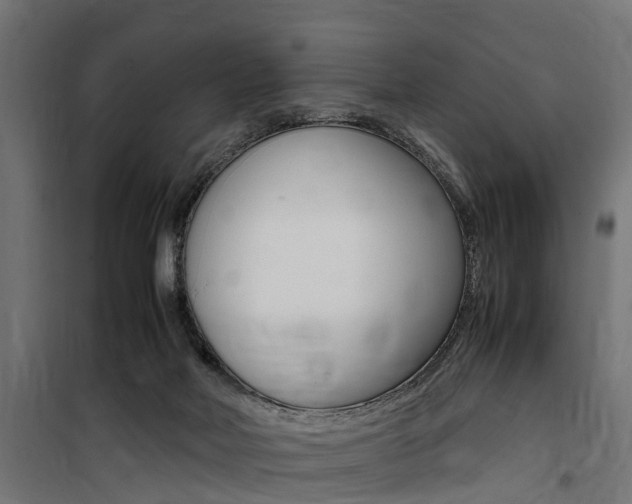 X0000100760026200806190920