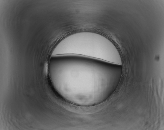 X0000100760027200806190920