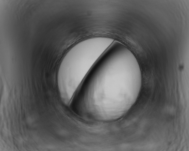 X0000100760028200806190920