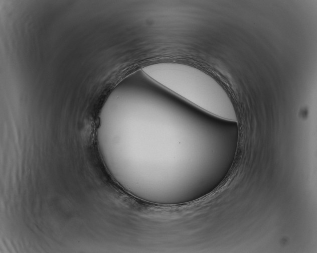 X0000100760029200806190920