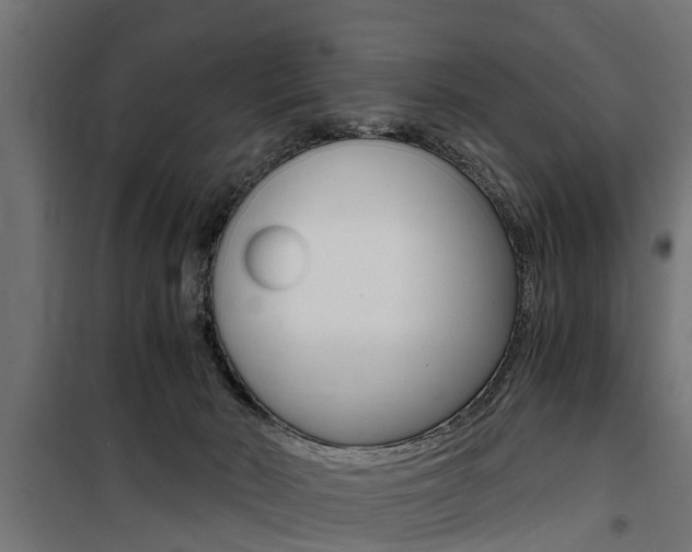 X0000100760030200806190920