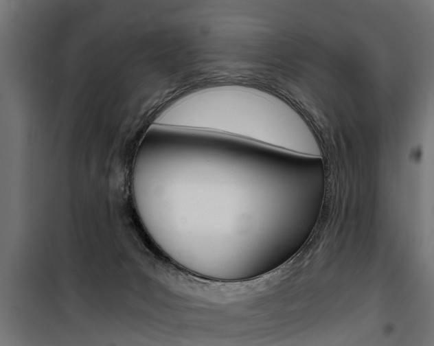 X0000100760031200806190920