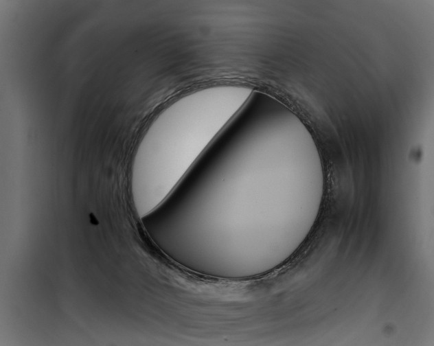 X0000100760032200806190920