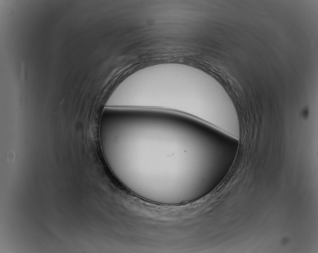 X0000100760035200806190920