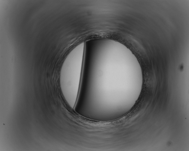 X0000100760036200806190920