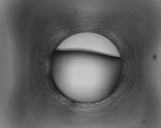 X0000100760037200806190920