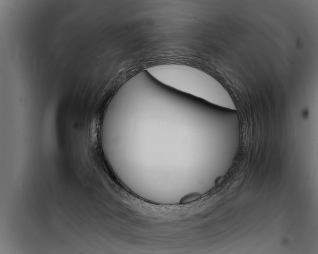 X0000100760038200806190920