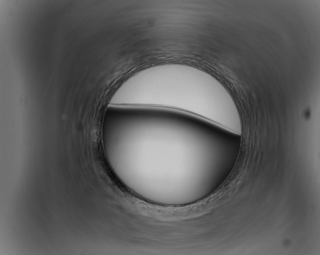 X0000100760039200806190920