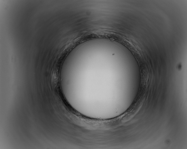 X0000100760040200806190920