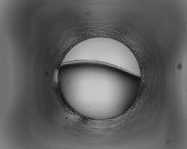 X0000100760041200806190920