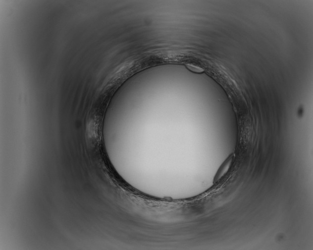 X0000100760044200806190920