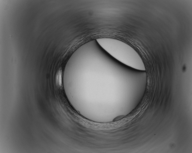 X0000100760046200806190920