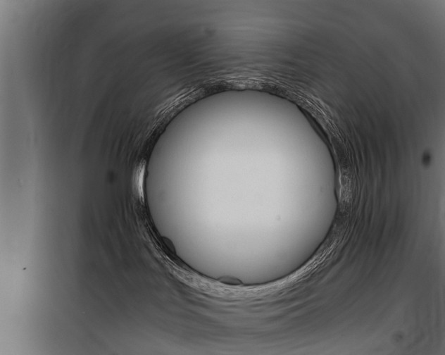 X0000100760047200806190920