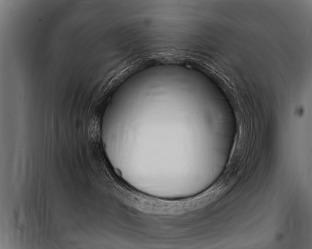 X0000100760048200806190920