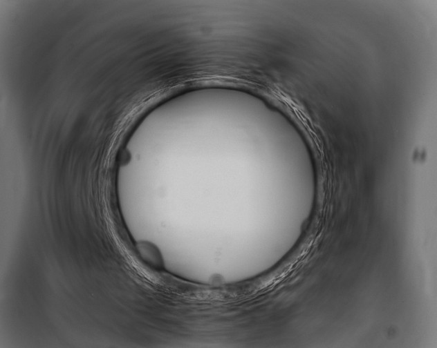 X0000100760049200806190919