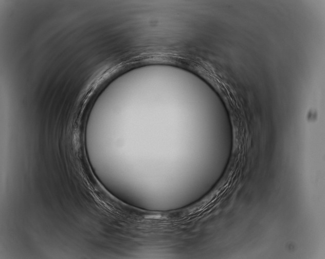 X0000100760050200806190919