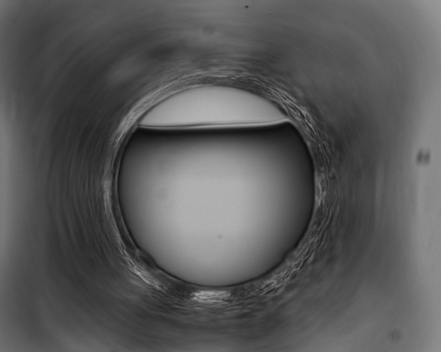 X0000100760051200806190919