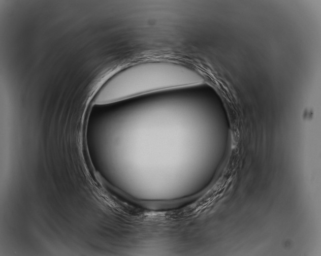 X0000100760052200806190919