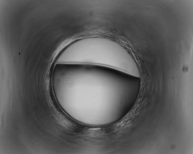 X0000100760054200806190919