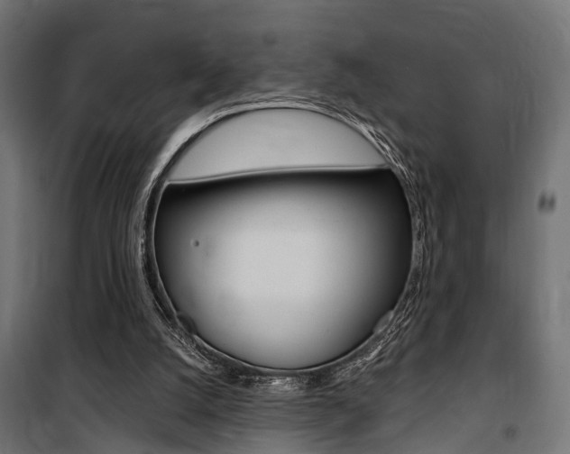 X0000100760056200806190919