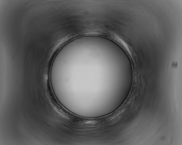 X0000100760059200806190919