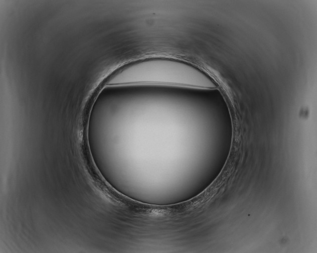 X0000100760060200806190919