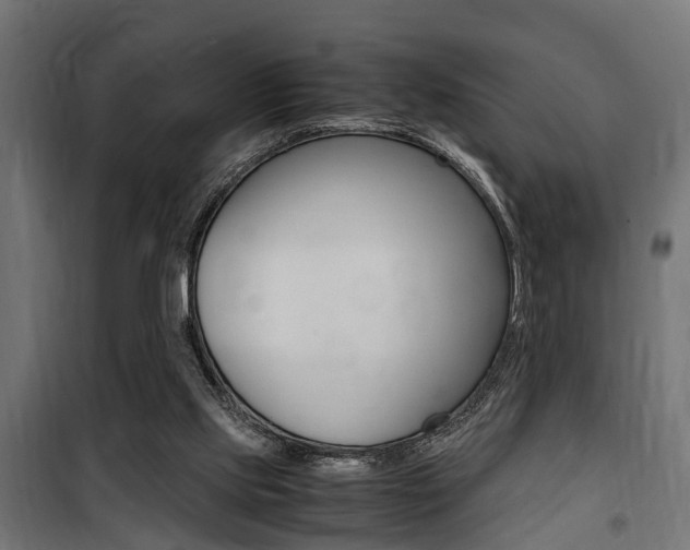 X0000100760061200806190919