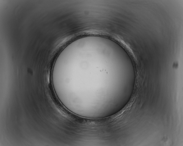 X0000100760062200806190919