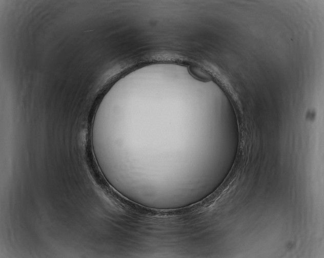 X0000100760063200806190919