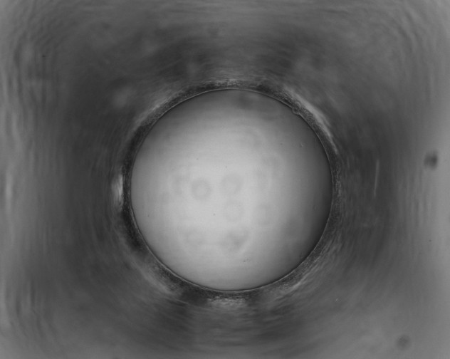 X0000100760067200806190919